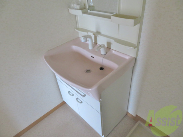 洗面設備　身支度には嬉しい独立洗面台です。シャワー付きです！