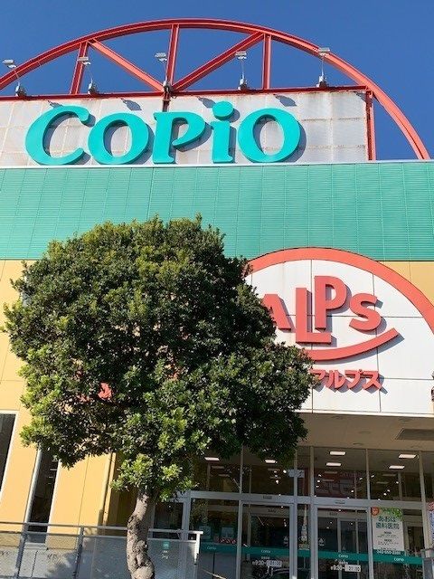 ショッピングセンター　コピオあきる野店（ショッピングセンター）まで1100m