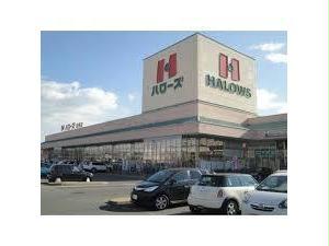 スーパー　ハローズ新涯店（スーパー）まで1754m