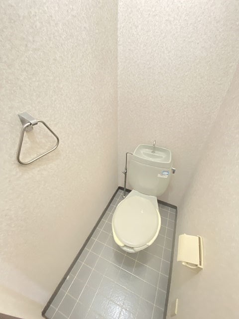 【ハイツ165のトイレ】