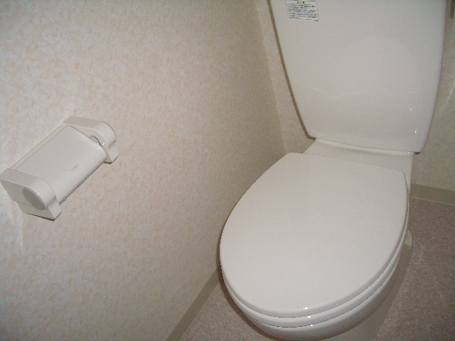 ＪＲ土讃線 円行寺口駅 徒歩15分 3階建 築19年のトイレ写真