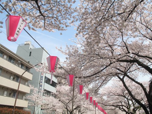 【文京区白山のマンションのその他】