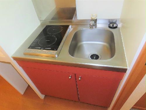 キッチン　2口の電気コンロまたはIHコンロとなります