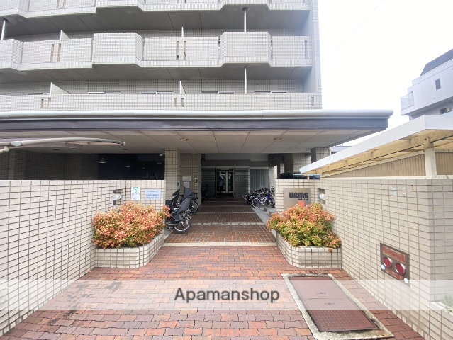 エントランス　眺望