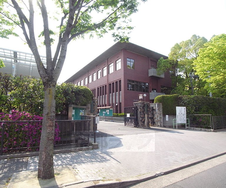 【京都市北区紫竹東高縄町のマンションの大学・短大】