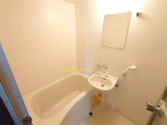 バス・シャワールーム　他のお部屋の写真になります。