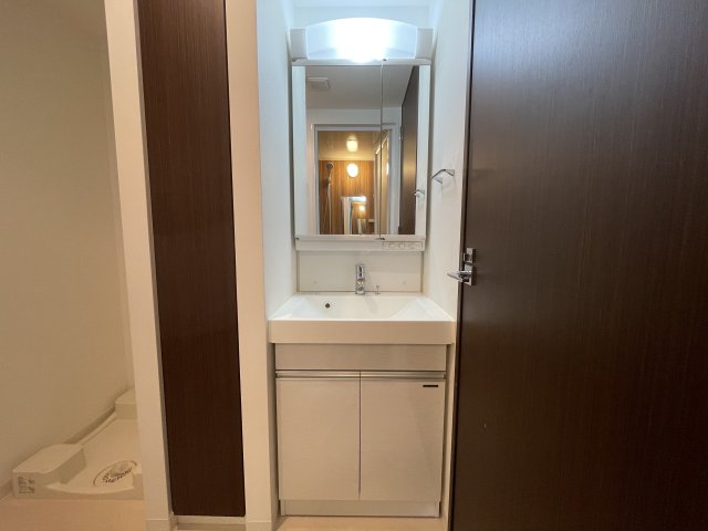 洗面設備　他号室同タイプ