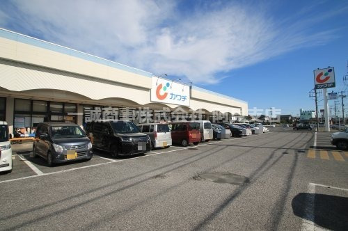ドラックストア　カワチ薬品 荒川沖店（ドラッグストア）まで150m