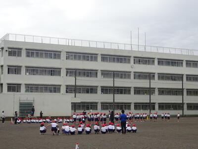 小学校　川口市立在家小学校（小学校）まで349m