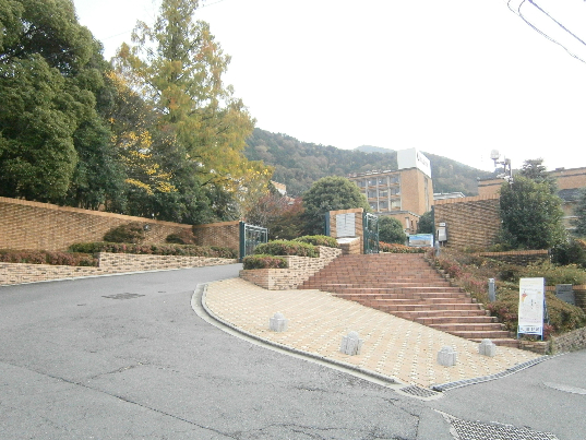 大学・短大　京都橘大学（大学・短大）まで1516m