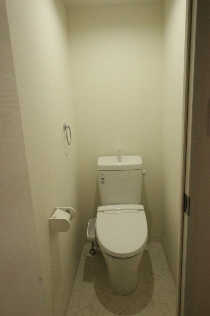 トイレ　同物件、別号室のものです。