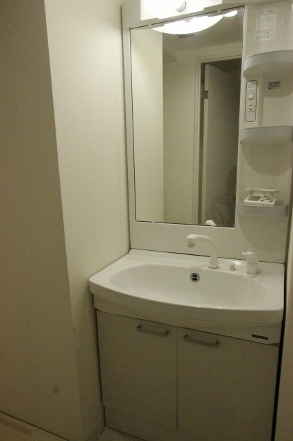 洗面設備　同物件、別号室のものです。