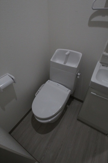 トイレ　同物件、別号室のものです。