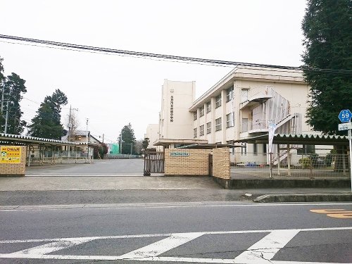 中学校　赤塚中学校（中学校）まで807m
