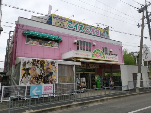 その他　ペットン（その他）まで908m