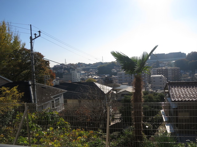 眺望　※現況優先