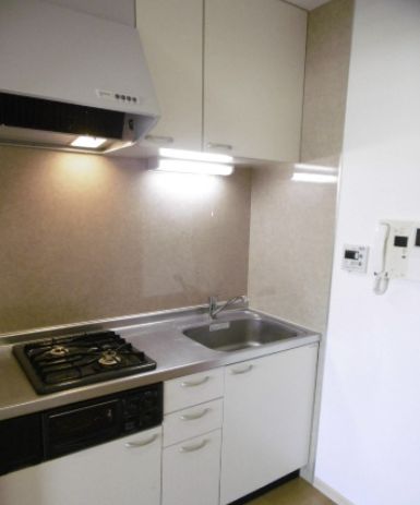 キッチン　スペーシア高円寺I