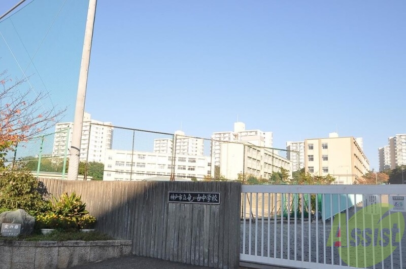 中学校　神戸市立竜が台中学校（中学校）まで941m