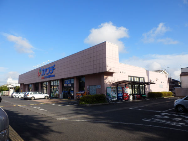 その他　ドラッグストア（その他）まで800m