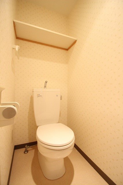 トイレ　同物件別号室の写真