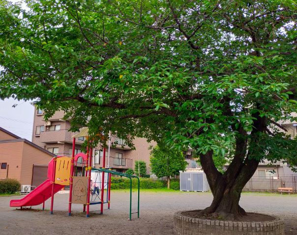 公園　橋本寿町公園（公園）まで166m