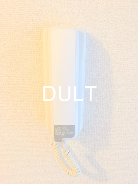 セキュリティ　インターホンです。