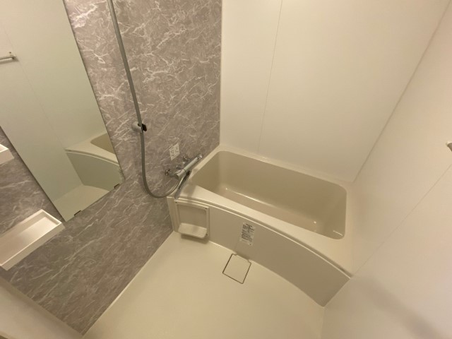 バス・シャワールーム　反転タイプのお部屋です