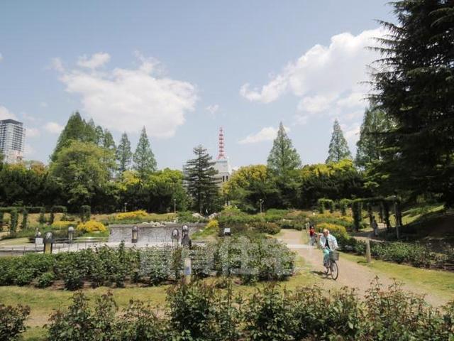 公園　靱公園（公園）まで755m