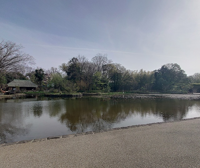 公園　せせらぎ公園（公園）まで187m