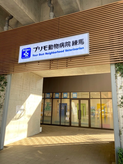 病院　プリモ動物病院（病院）まで570m