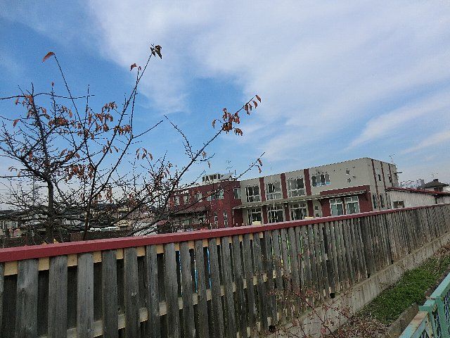 幼稚園・保育園　ゆたか保育園（幼稚園・保育園）まで383m