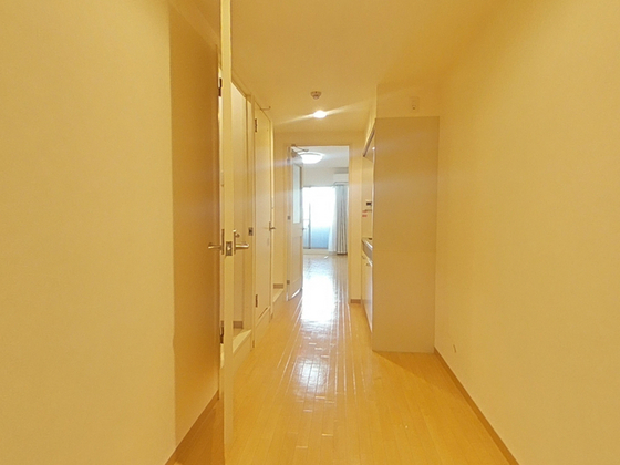 玄関　※別部屋の写真です