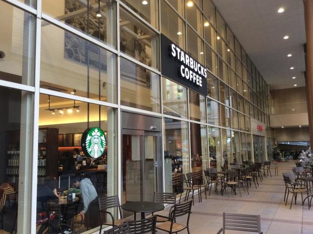 飲食店　スターバックスコーヒー木場イトーヨーカドー店（飲食店）まで539m