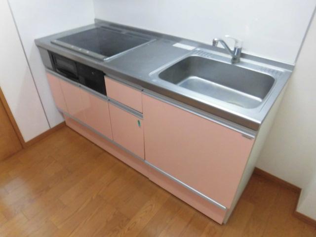 キッチン　同間取別号室写真