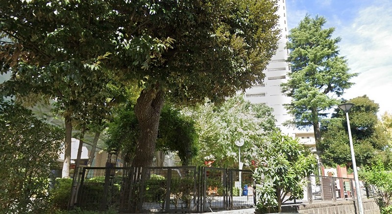 公園　渋谷区立代官山公園（代官山）（公園）まで487m