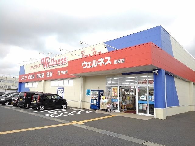 ドラックストア　ウェルネス国府店（ドラッグストア）まで400m