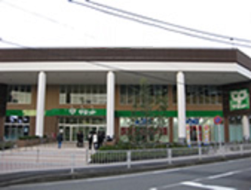 スーパー　サミット（スーパー）まで555m