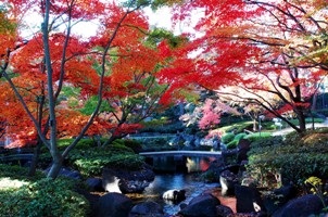 公園　太田黒公園（公園）まで818m