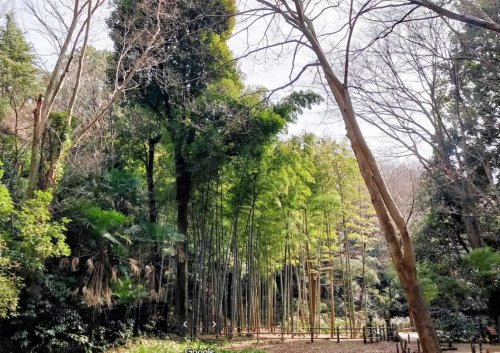 公園　川崎市立東高根森林公園（公園）まで1407m