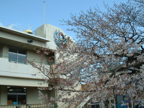 幼稚園・保育園　愛垂幼稚園（幼稚園・保育園）まで495m