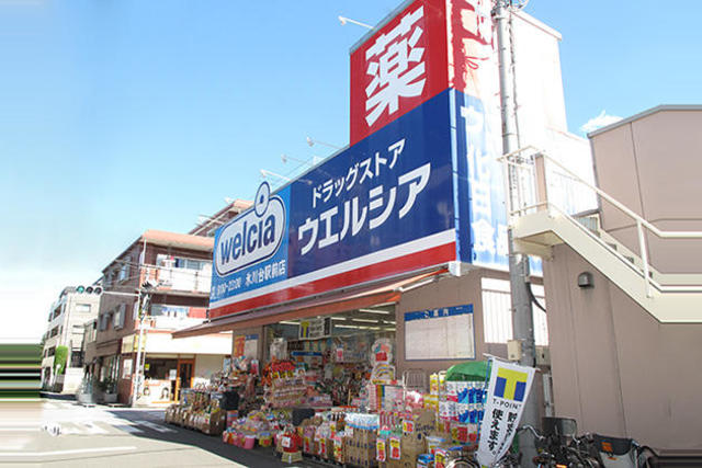ドラックストア　ウエルシア氷川台駅前店（ドラッグストア）まで1009m
