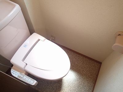 近鉄南大阪線 河内松原駅 徒歩6分 3階建 築32年のトイレ写真