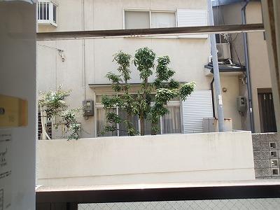 近鉄南大阪線 河内松原駅 徒歩6分 3階建 築32年のその他写真