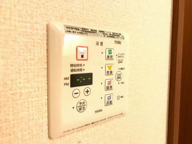 プリムローズのその他写真