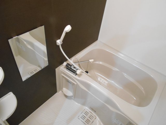 フジパレス湊III番館の風呂写真