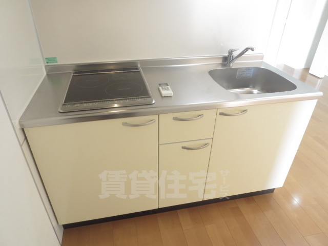 南海高野線 堺東駅 徒歩3分 11階建 築11年のキッチン写真