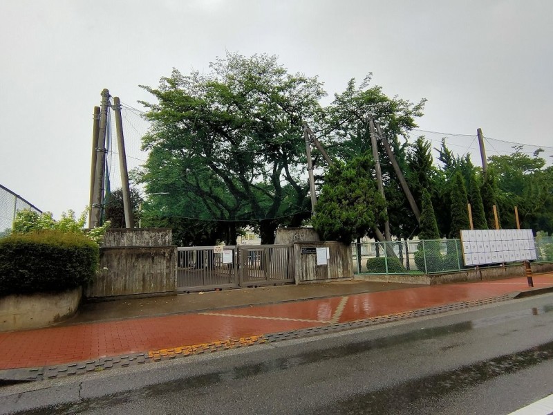 小学校　練馬区立光が丘四季の香小学校（小学校）まで646m