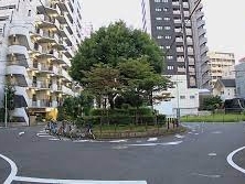 公園　新道街園（公園）まで726m