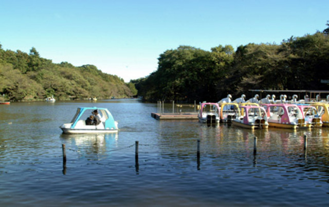 公園　井の頭恩賜公園（公園）まで220m