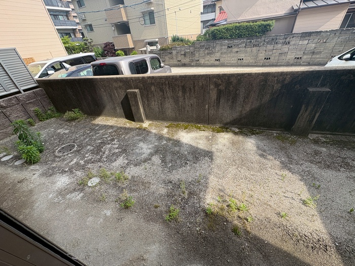 庭
